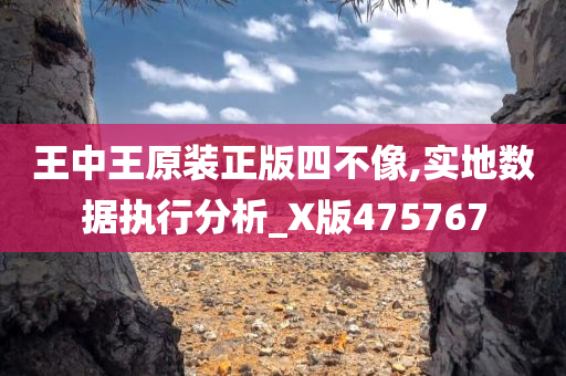 王中王原装正版四不像,实地数据执行分析_X版475767