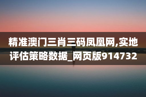 精准澳门三肖三码凤凰网,实地评估策略数据_网页版914732