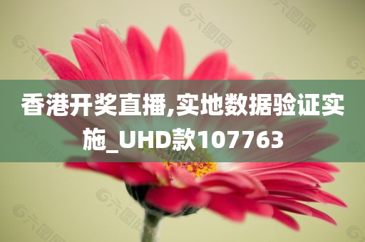 香港开奖直播,实地数据验证实施_UHD款107763