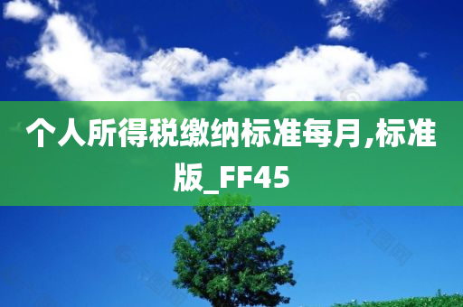 个人所得税缴纳标准每月,标准版_FF45