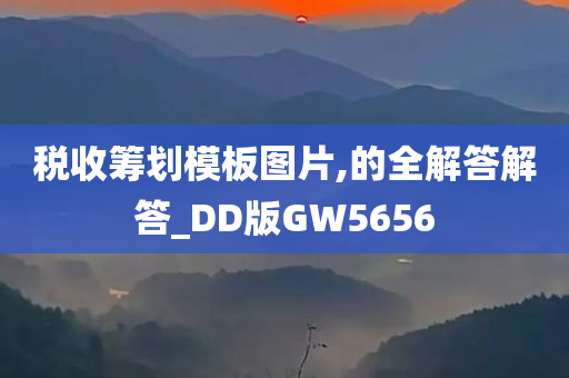 税收筹划模板图片,的全解答解答_DD版GW5656