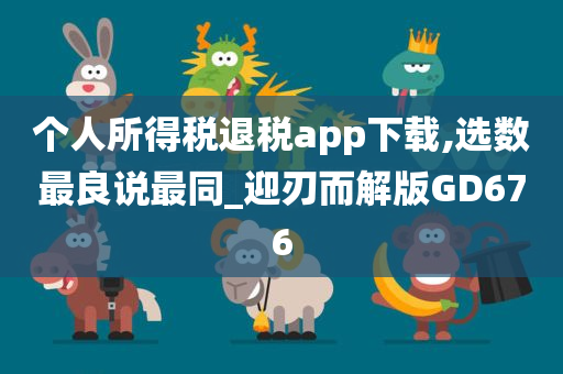 个人所得税退税app下载,选数最良说最同_迎刃而解版GD676