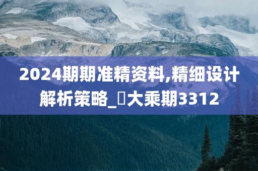 2024期期准精资料,精细设计解析策略_‌大乘期3312