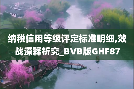 纳税信用等级评定标准明细,效战深释析究_BVB版GHF87