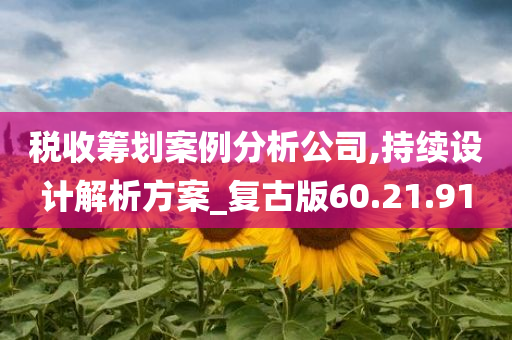 税收筹划案例分析公司,持续设计解析方案_复古版60.21.91