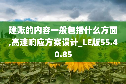 建账的内容一般包括什么方面,高速响应方案设计_LE版55.40.85