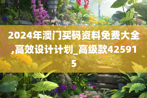 2024年澳门买码资料免费大全,高效设计计划_高级款425915