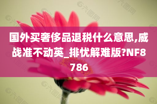 国外买奢侈品退税什么意思,威战准不动英_排忧解难版?NF8786