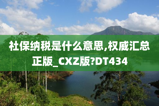 社保纳税是什么意思,权威汇总正版_CXZ版?DT434