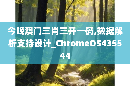 今晚澳门三肖三开一码,数据解析支持设计_ChromeOS435544