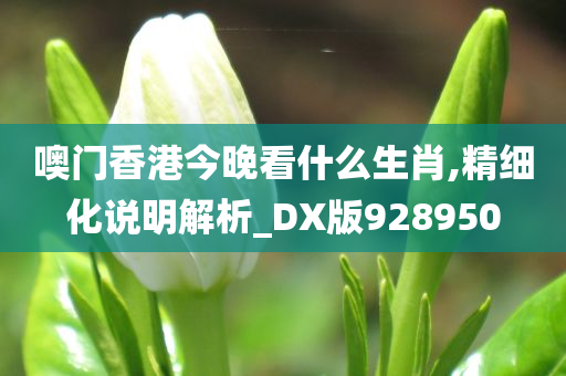 噢门香港今晚看什么生肖,精细化说明解析_DX版928950