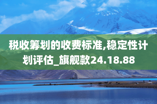 税收筹划的收费标准,稳定性计划评估_旗舰款24.18.88