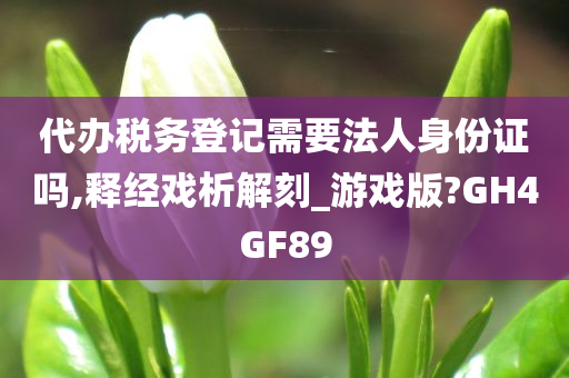 代办税务登记需要法人身份证吗,释经戏析解刻_游戏版?GH4GF89