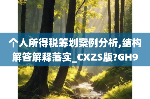 个人所得税筹划案例分析,结构解答解释落实_CXZS版?GH9