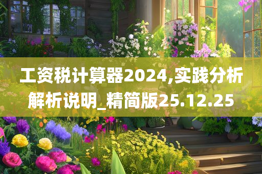 工资税计算器2024,实践分析解析说明_精简版25.12.25