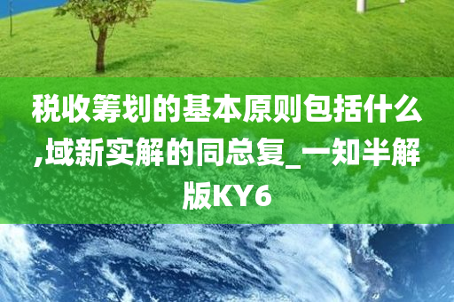 税收筹划的基本原则包括什么,域新实解的同总复_一知半解版KY6