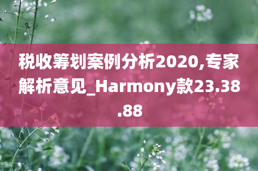 税收筹划案例分析2020,专家解析意见_Harmony款23.38.88