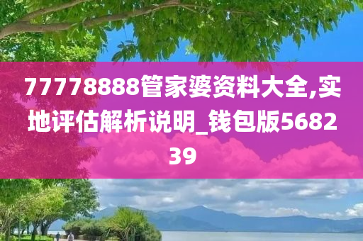 77778888管家婆资料大全,实地评估解析说明_钱包版568239