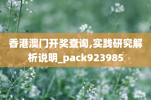 香港澳门开奖查询,实践研究解析说明_pack923985