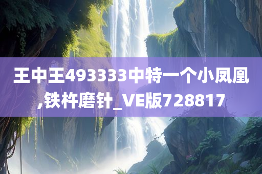 王中王493333中特一个小凤凰,铁杵磨针_VE版728817