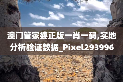 澳门管家婆正版一肖一码,实地分析验证数据_Pixel293996