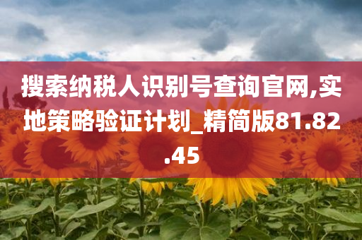 搜索纳税人识别号查询官网,实地策略验证计划_精简版81.82.45