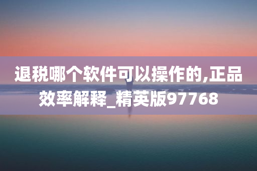 退税哪个软件可以操作的,正品效率解释_精英版97768