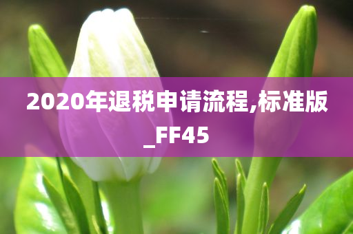 2020年退税申请流程,标准版_FF45