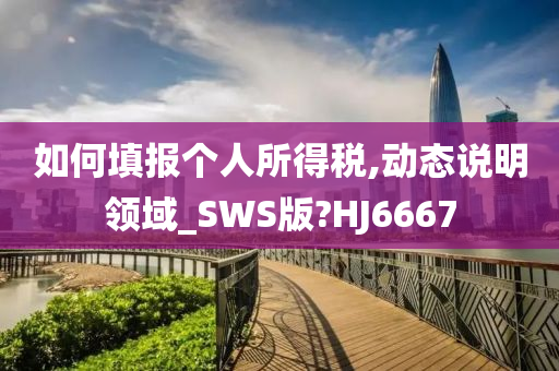 如何填报个人所得税,动态说明领域_SWS版?HJ6667