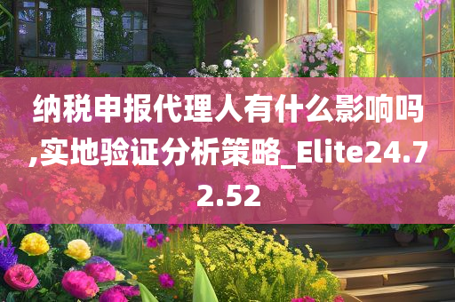 纳税申报代理人有什么影响吗,实地验证分析策略_Elite24.72.52