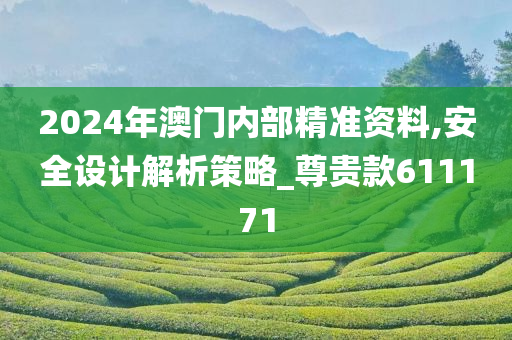 2024年澳门内部精准资料,安全设计解析策略_尊贵款611171