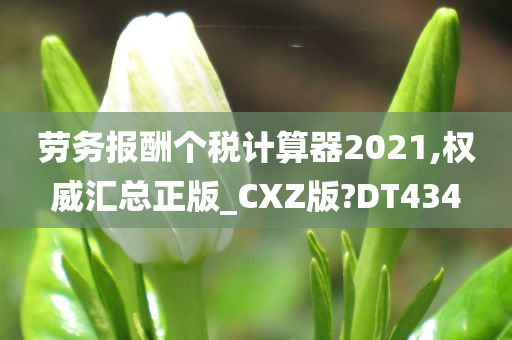 劳务报酬个税计算器2021,权威汇总正版_CXZ版?DT434