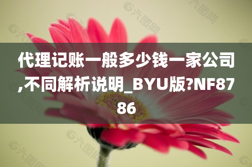 代理记账一般多少钱一家公司,不同解析说明_BYU版?NF8786