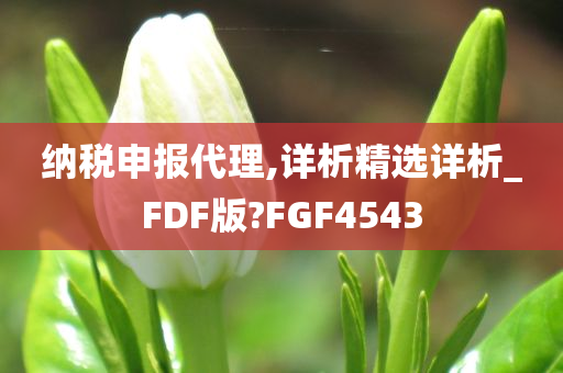 纳税申报代理,详析精选详析_FDF版?FGF4543