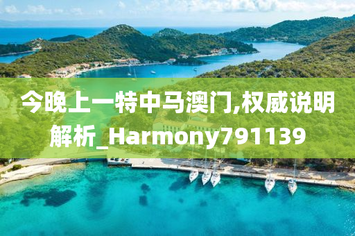 今晚上一特中马澳门,权威说明解析_Harmony791139