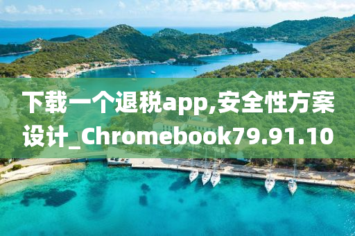 下载一个退税app,安全性方案设计_Chromebook79.91.10