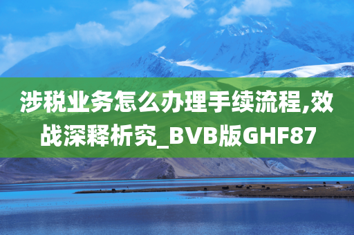 涉税业务怎么办理手续流程,效战深释析究_BVB版GHF87