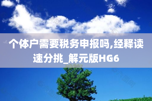 个体户需要税务申报吗,经释读速分挑_解元版HG6