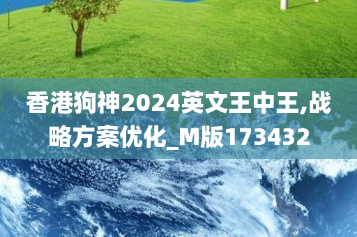 香港狗神2024英文王中王,战略方案优化_M版173432