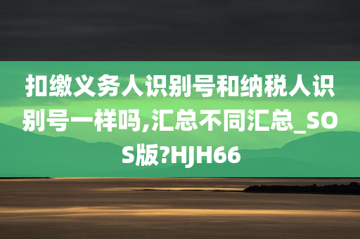 扣缴义务人识别号和纳税人识别号一样吗,汇总不同汇总_SOS版?HJH66