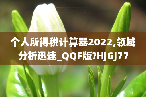 个人所得税计算器2022,领域分析迅速_QQF版?HJGJ77