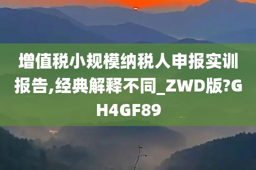 增值税小规模纳税人申报实训报告,经典解释不同_ZWD版?GH4GF89