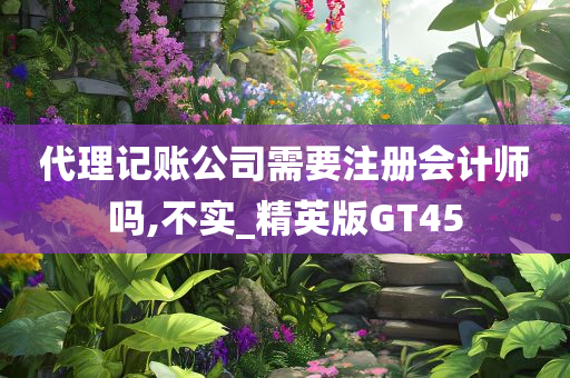 代理记账公司需要注册会计师吗,不实_精英版GT45