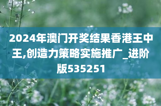 2024年澳门开奖结果香港王中王,创造力策略实施推广_进阶版535251