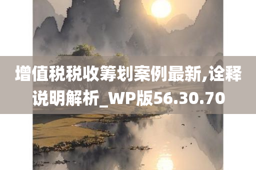 增值税税收筹划案例最新,诠释说明解析_WP版56.30.70