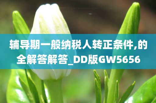 辅导期一般纳税人转正条件,的全解答解答_DD版GW5656