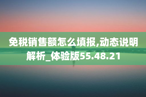 免税销售额怎么填报,动态说明解析_体验版55.48.21