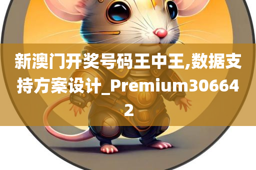 新澳门开奖号码王中王,数据支持方案设计_Premium306642