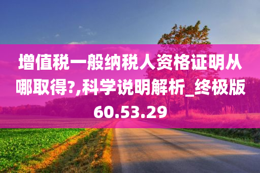 增值税一般纳税人资格证明从哪取得?,科学说明解析_终极版60.53.29