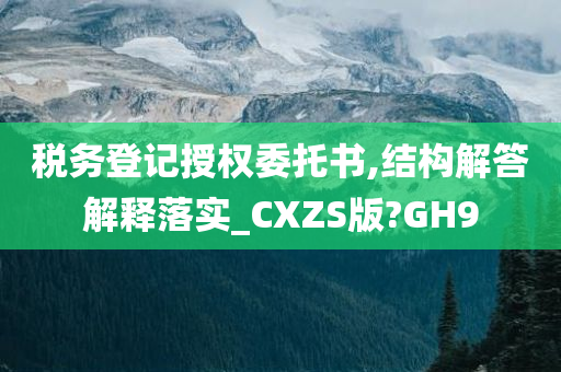 税务登记授权委托书,结构解答解释落实_CXZS版?GH9